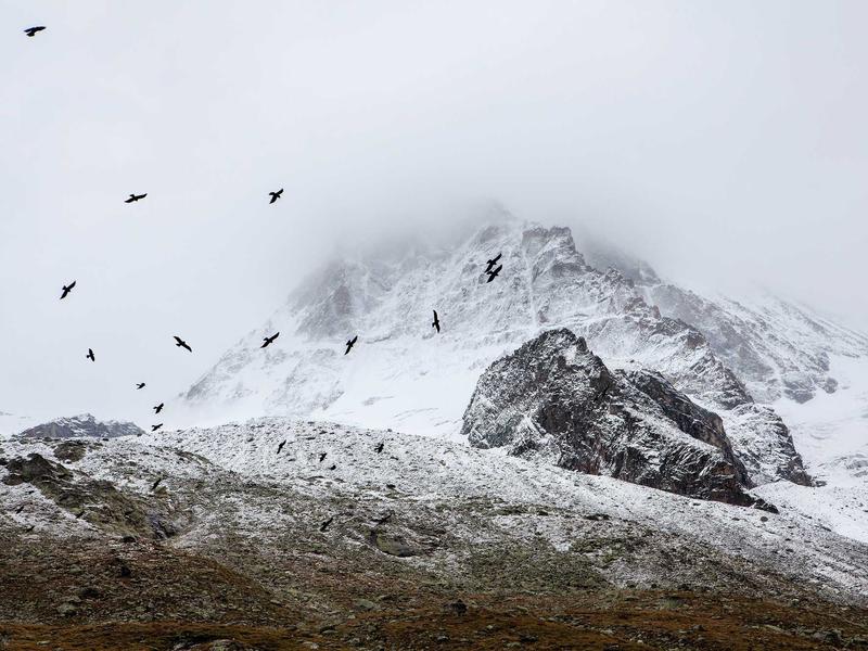 sudoku training mode screenshot 5